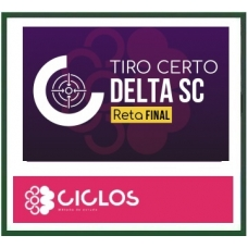 PC SC DELEGADO – TIRO CERTO – RETA FINAL DELTA SC ( CICLOS 2024) – Rateio Policia Civil Santa Catarina Reta Final PCSC
